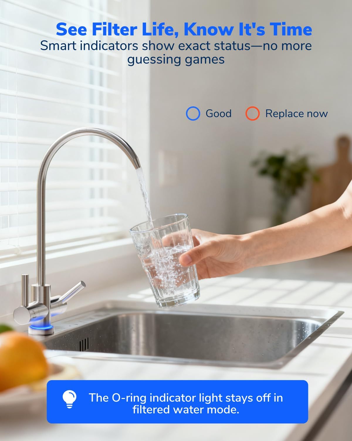 Ecoviva 600 GPD Under-Sink 8 Stage Osmosis System