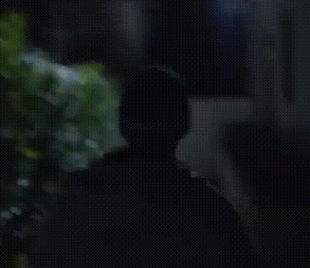 20241016_182133_232.gif