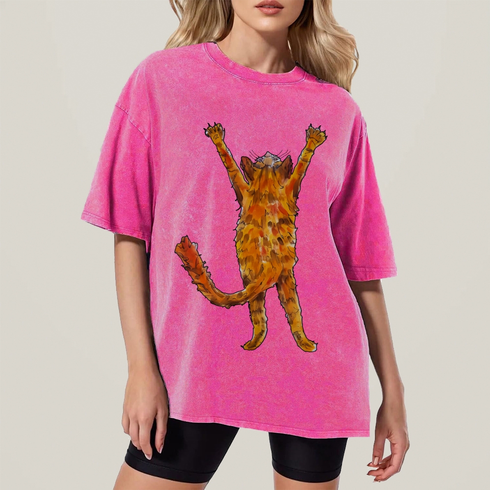 Cat Hand Painted Art from a Child's Hands Washed T-shirt