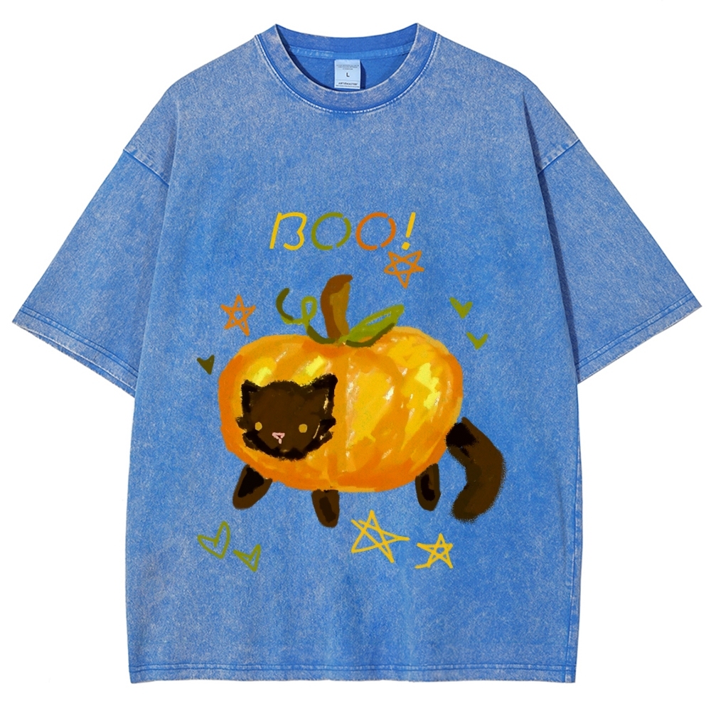 Cute Pumpkin Cat Hand Painted Art from a Child's Hands Washed T-shirt