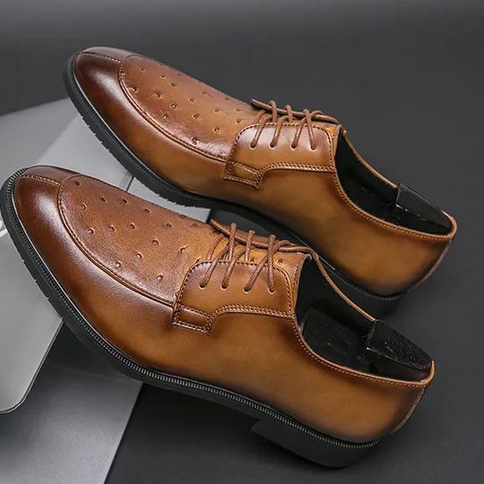 Business casual ostrich leather lace-up shoes for men-Zdaazd