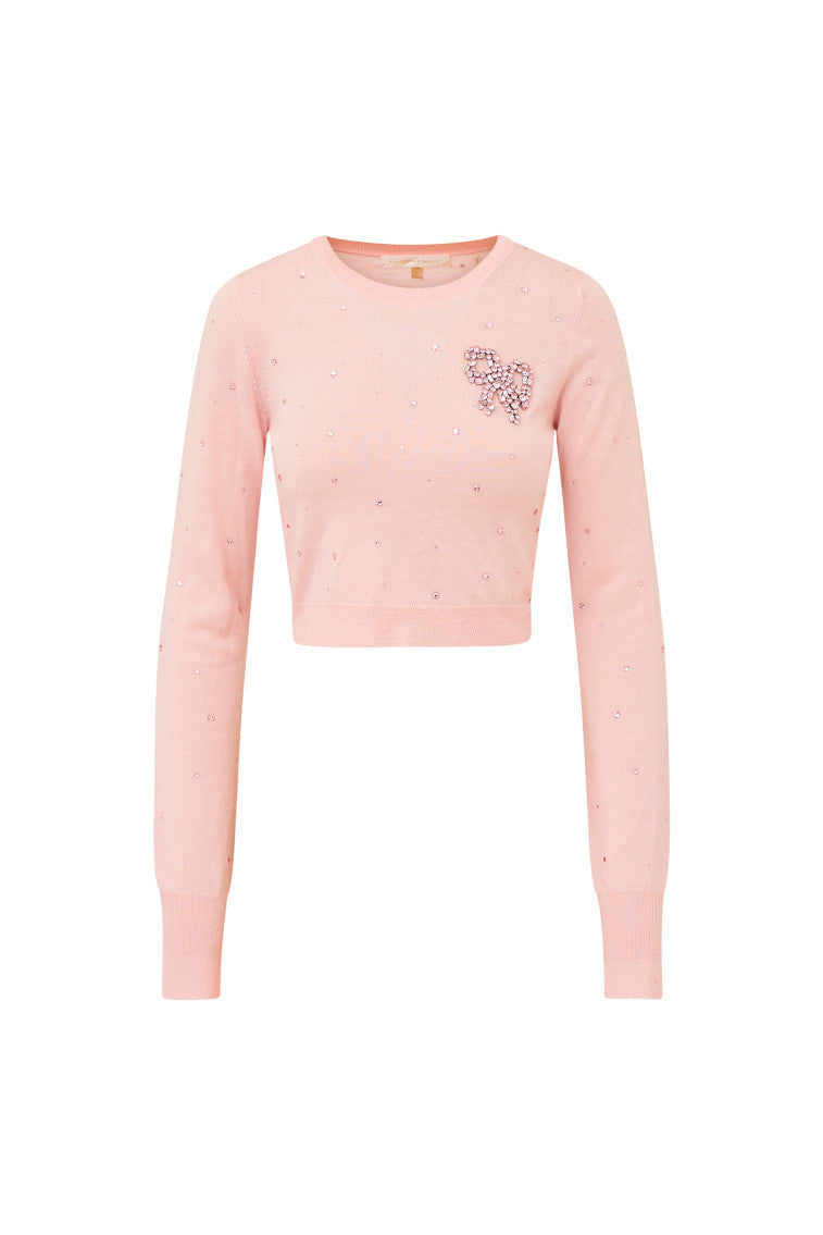 Pammie Embellished Wool Pullover-morningim