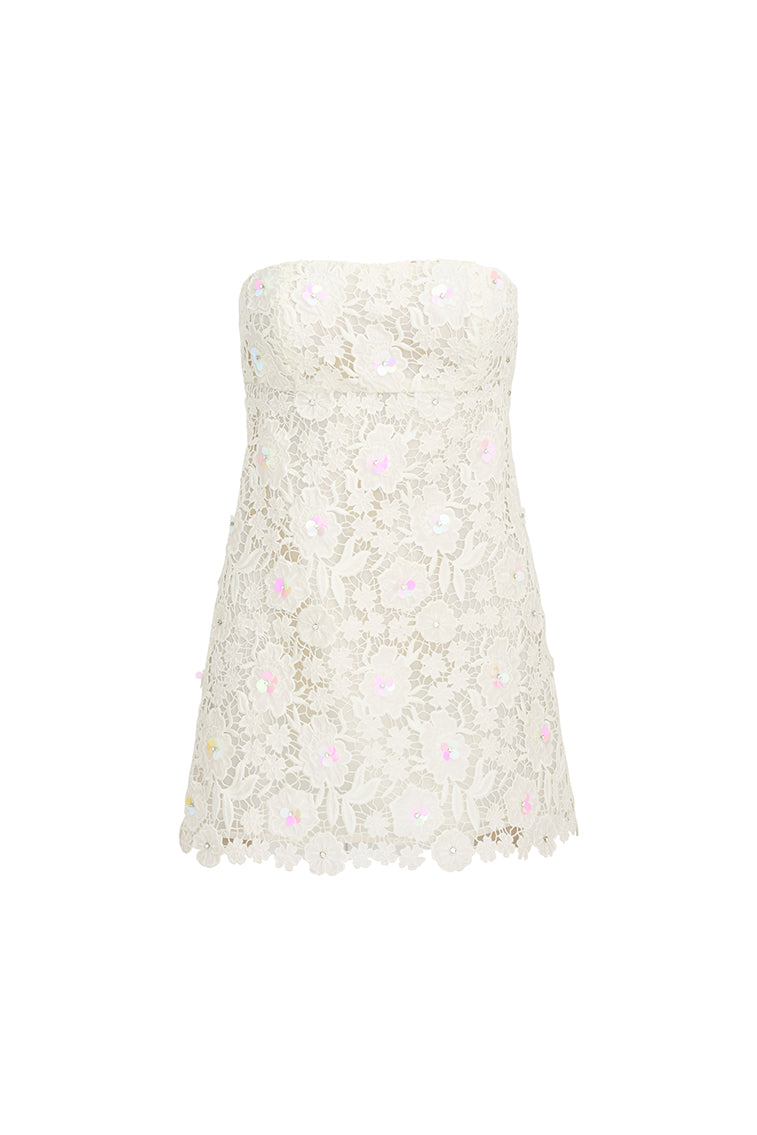 Paulinette Iridescent Sequin Mini Dress-morningim