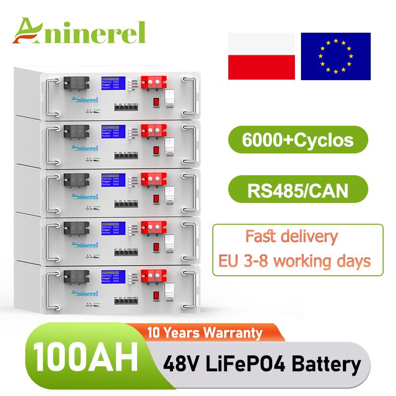 Aninerel  51.2V 100Ah Powerwall 5KWh LiFePO4 Rack-mounted Battery Built-in 16S 100A BMS CAN RS485 6000+ Cycle for Solar Planes Off/On Grid for Home