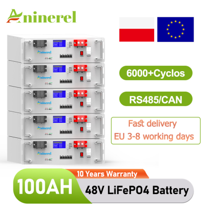 Aninerel  51.2V 100Ah Powerwall 5KWh LiFePO4 Rack-mounted Battery Built-in 16S 100A BMS CAN RS485 6000+ Cycle for Solar Planes Off/On Grid for Home