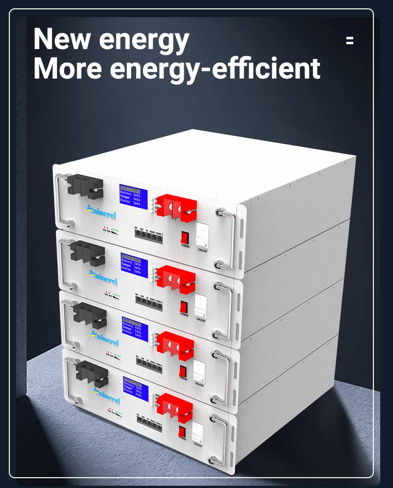 Aninerel  51.2V 100Ah Powerwall 5KWh LiFePO4 Rack-mounted Battery Built-in 16S 100A BMS CAN RS485 6000+ Cycle for Solar Planes Off/On Grid for Home