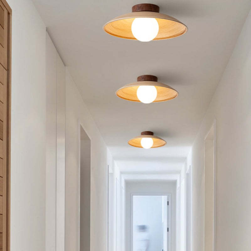 Ozawa Ceiling Lights illuminating hallway
