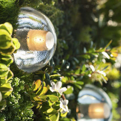 Valentina outdoor lamp illuminated, surrounded by green plants.