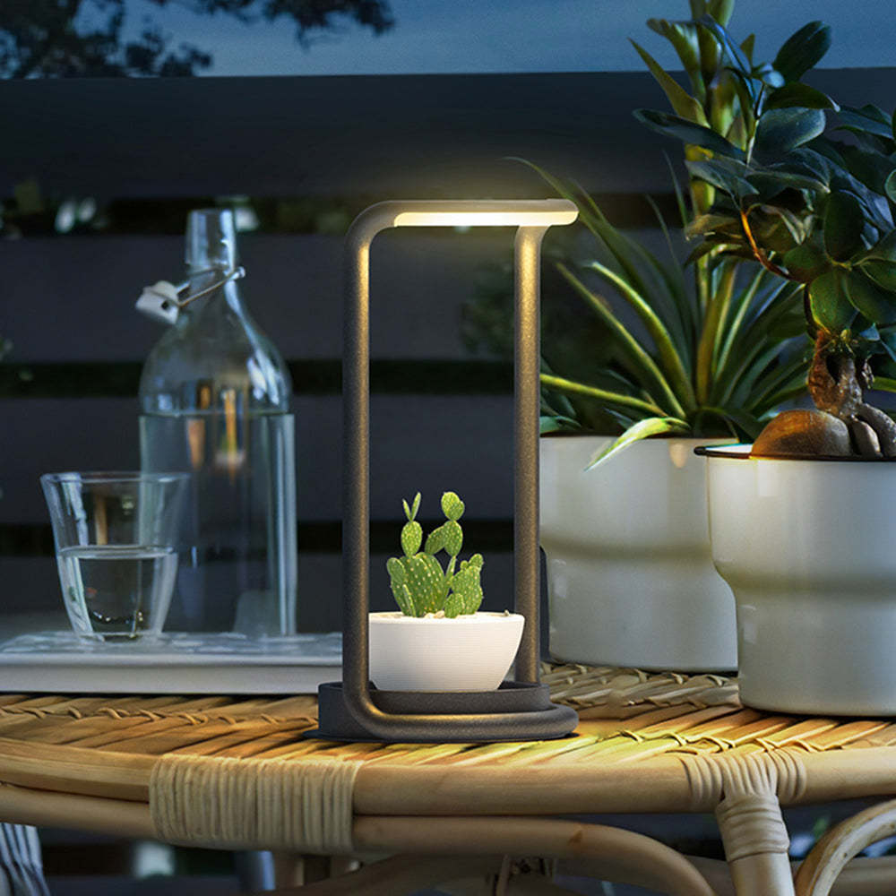 Lassola Orr Outdoor Floor Lamp with cactus, ambient lighting