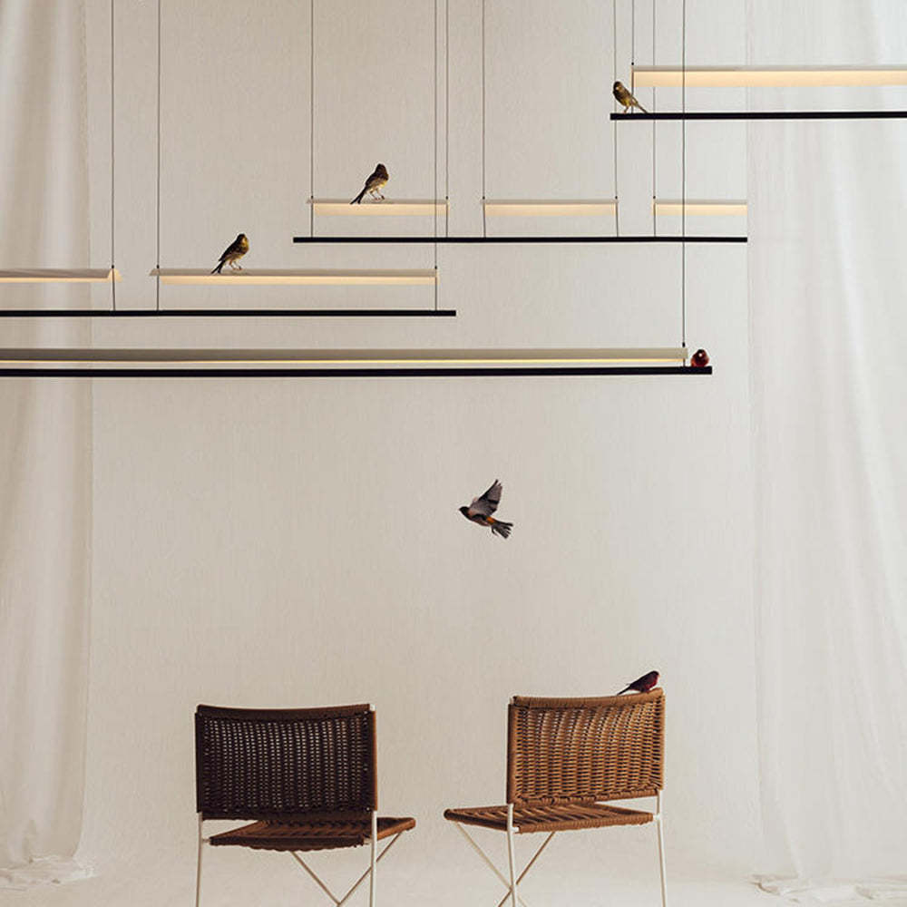 Edge Minimalist Pendant Light with birds, Las Sola lighting