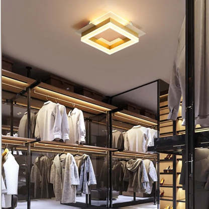 Square gold flush mount light in closet