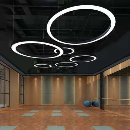Arisha Ring Pendant Lights in modern gym space
