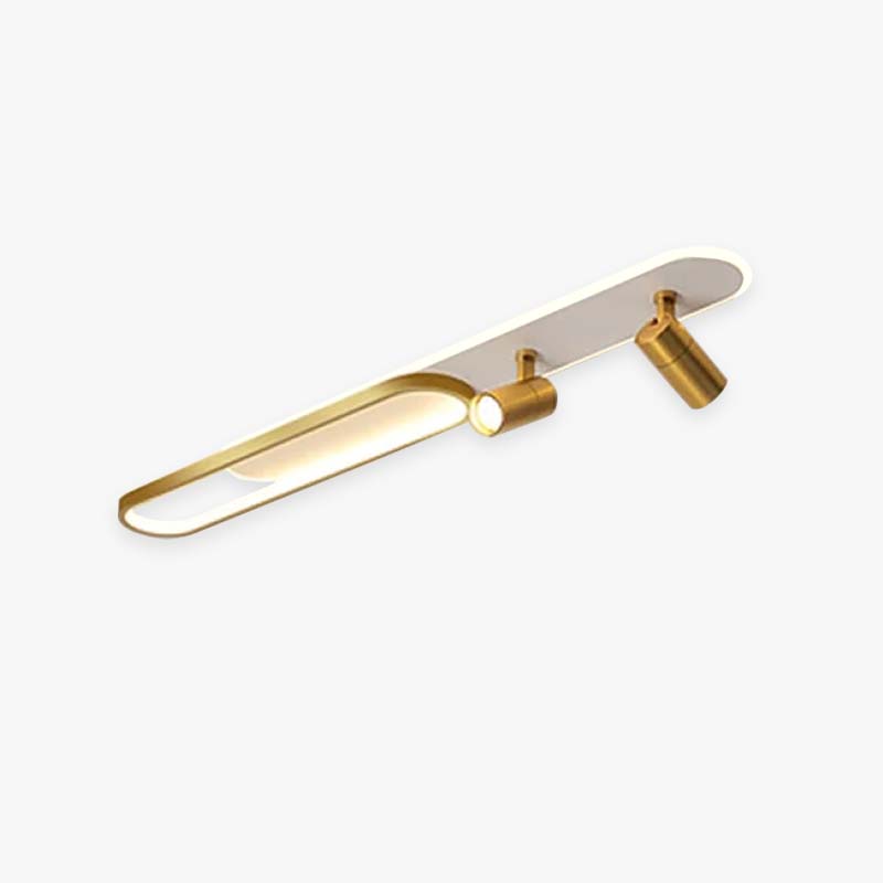 Haney Modern Ceiling Light Spotlight