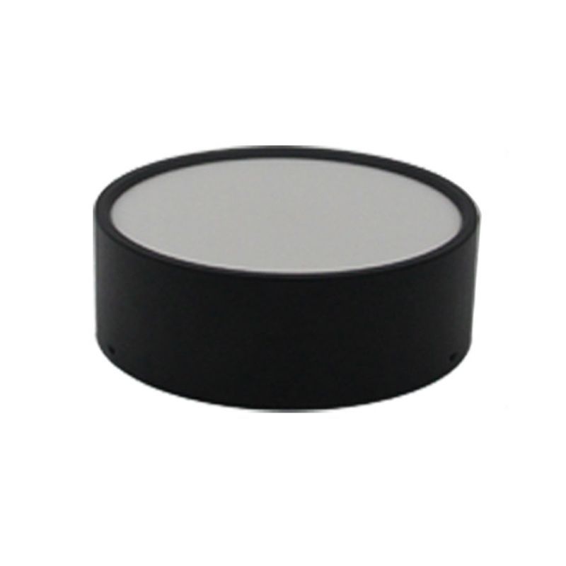 Quinn Cylindrical Flush Mount Ceiling Light - Black