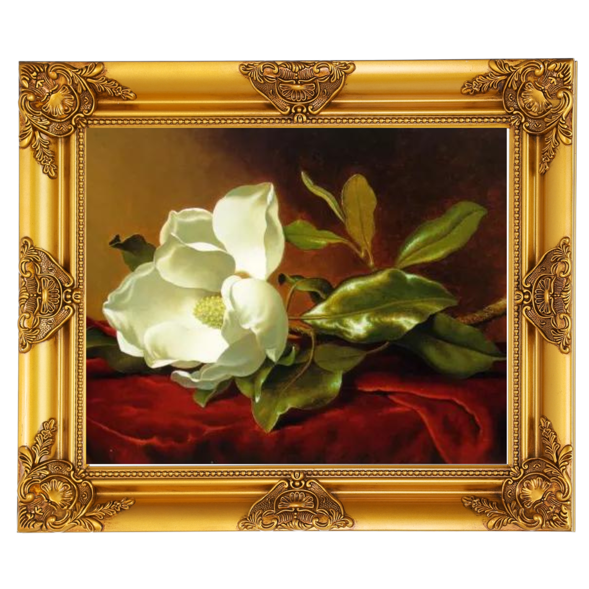 Magnolia flower oil painting in golden frame