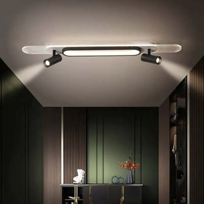 Haney Modern Rectangular LED Metal Acrylic Ceiling Light