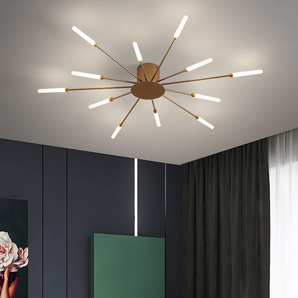 Lowry Fireworks Ceiling Light in a Modern Space