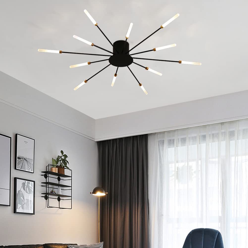 Lowry Fireworks Ceiling Light in Living Room