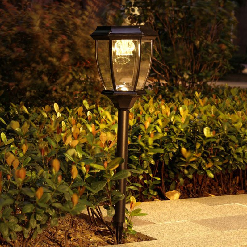 Pena Solar Outdoor Path Light illuminating garden