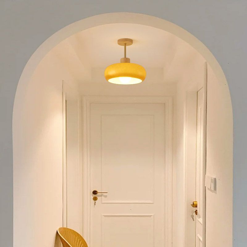 Modern Flush Mount Ceiling Light in Hallway