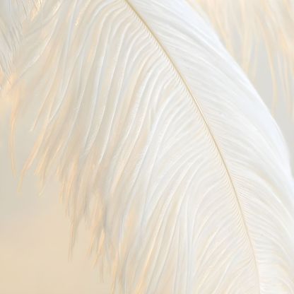 O'Moore Nordic Luxury Unique Ostrich Feather Floor Lamp/Table Lamp