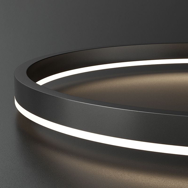 Arisha Pendant Light detail. Modern LED ring close-up.