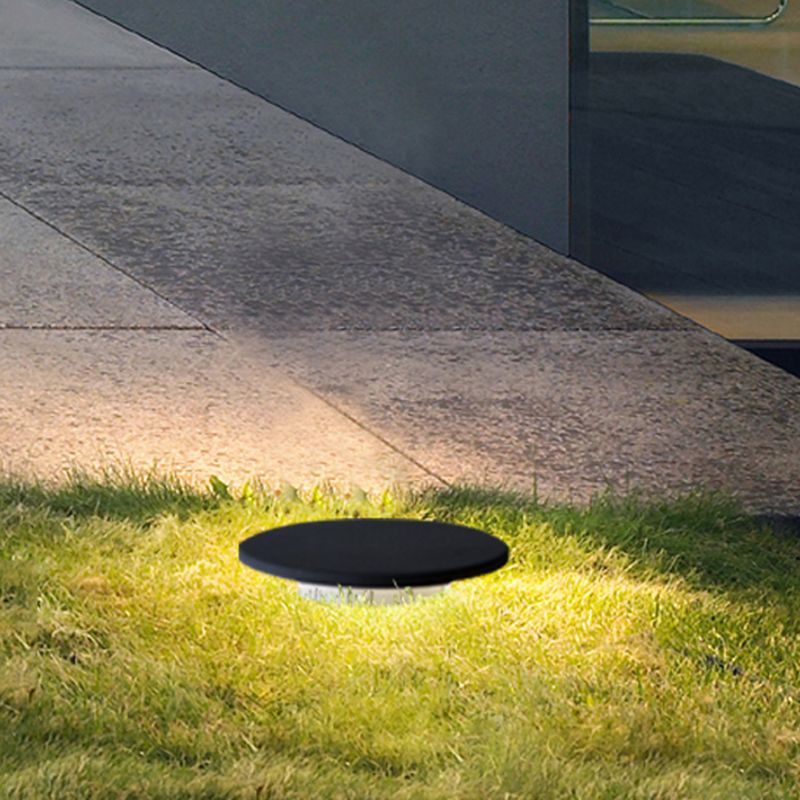 Pena round solar outdoor light illuminating garden path