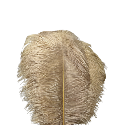 O'Moore Nordic Luxury Unique Ostrich Feather Floor Lamp/Table Lamp