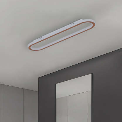 Quinn Minimalist Rectangular Flush Mount Ceiling Light