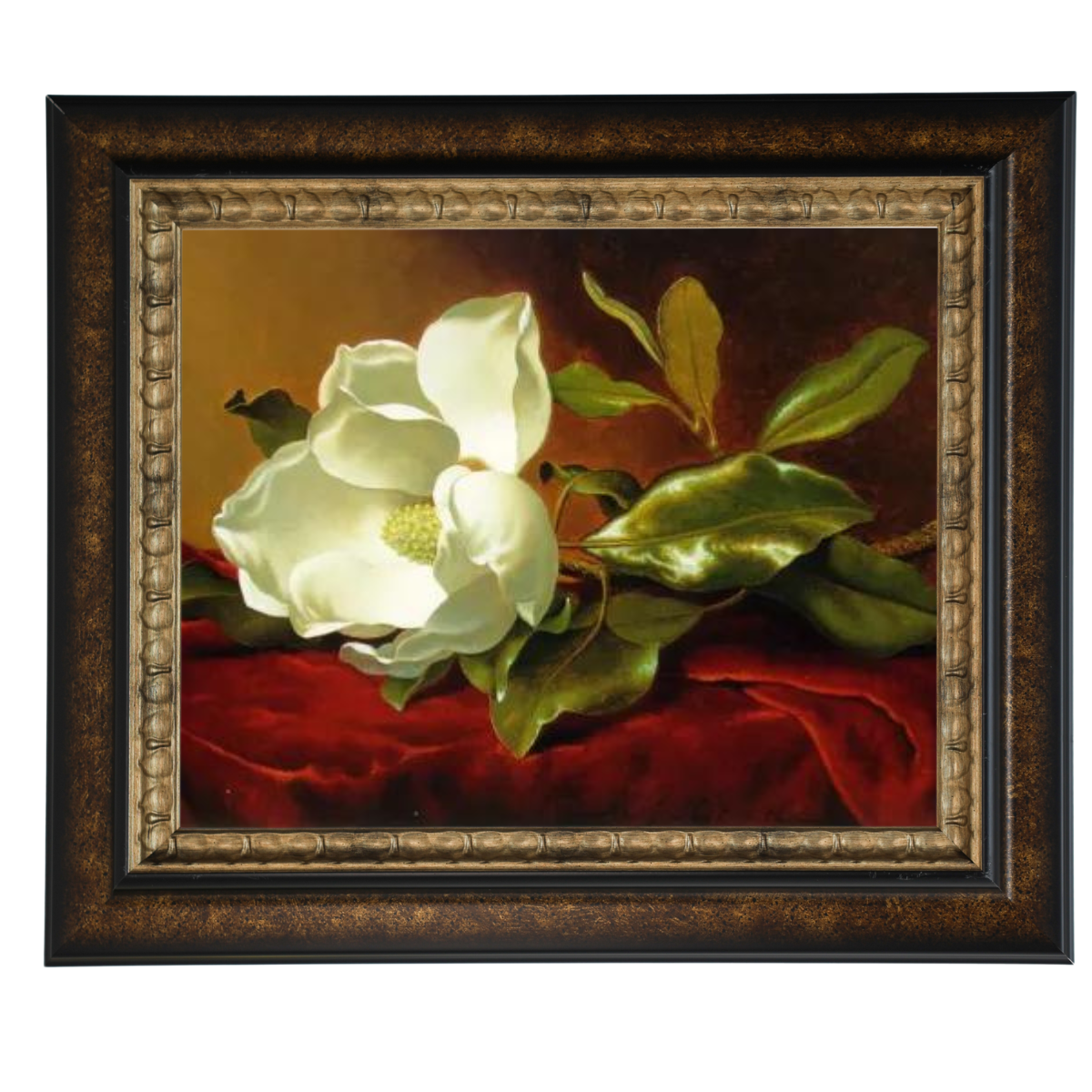 Magnolia oil painting on red velvet, framed floral wall art