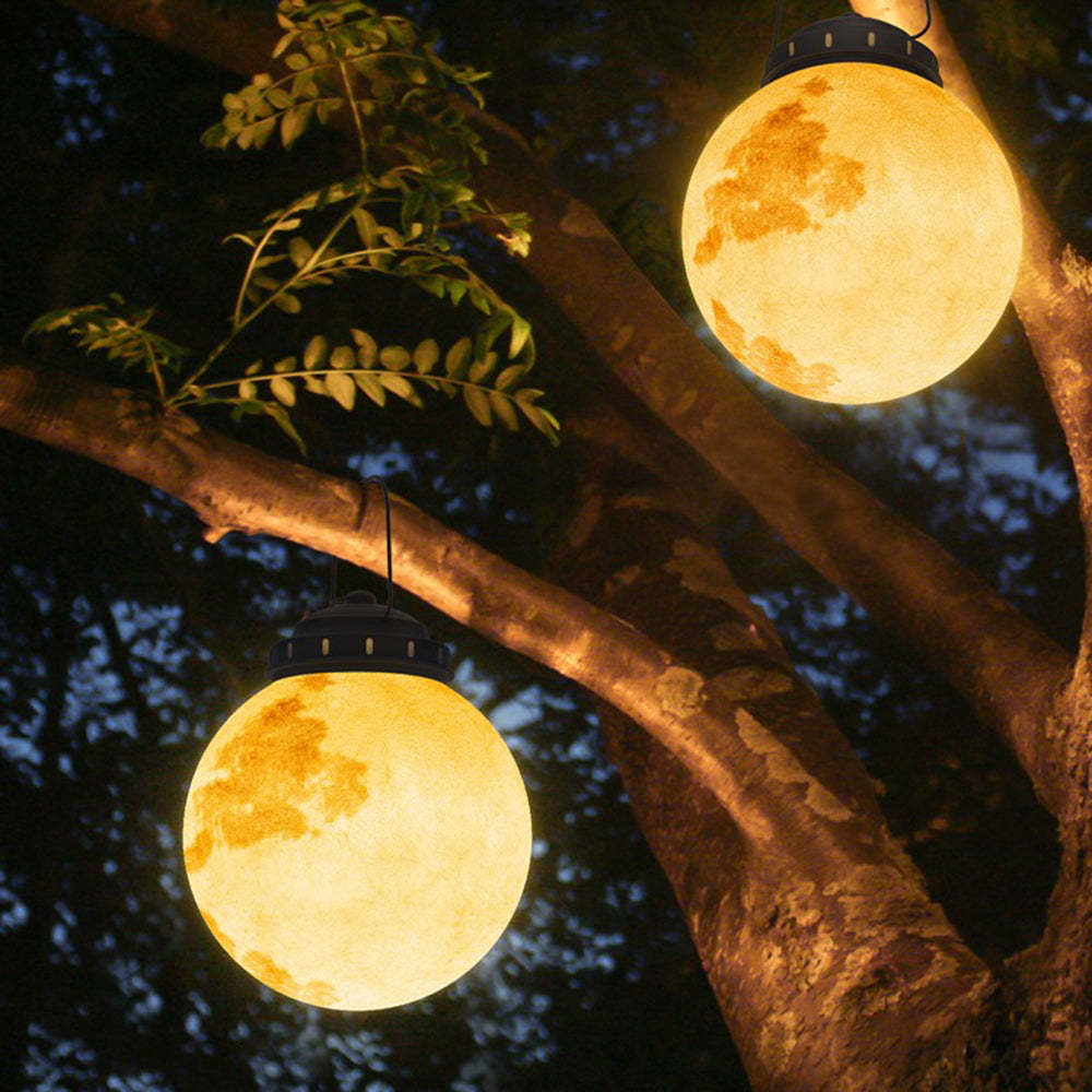 Elif Moon outdoor light hanging from tree, garden lighting.