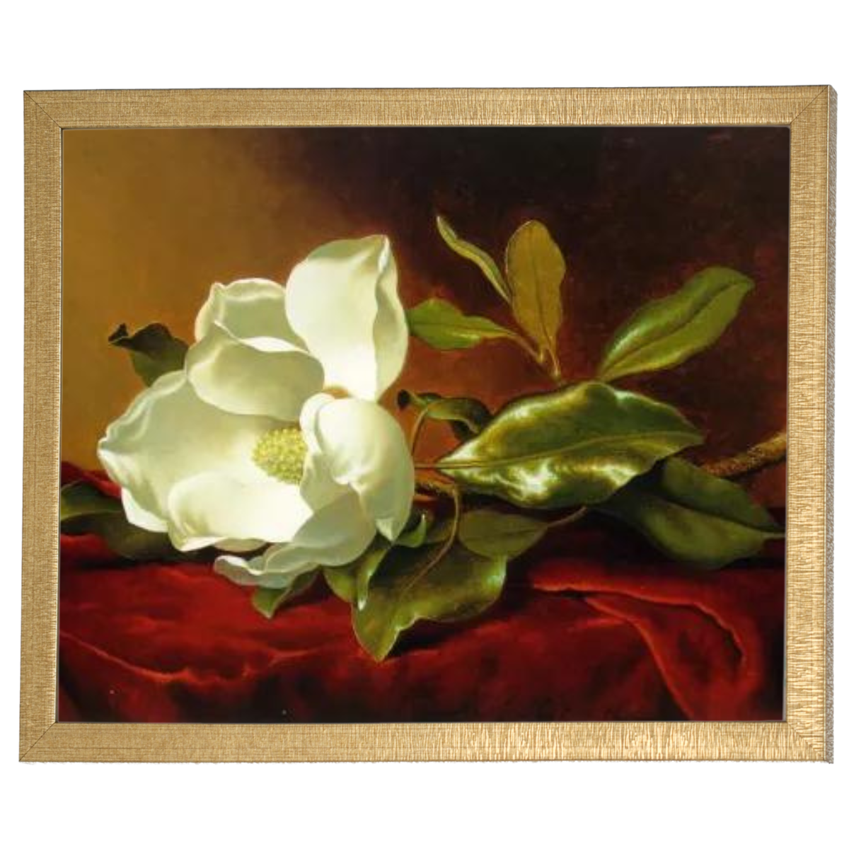 Magnolia flower oil painting on red velvet, framed wall art