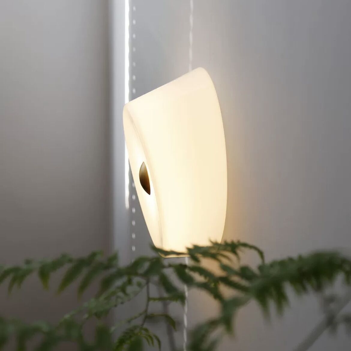 Orr Wall Light illuminating a room, modern interior design