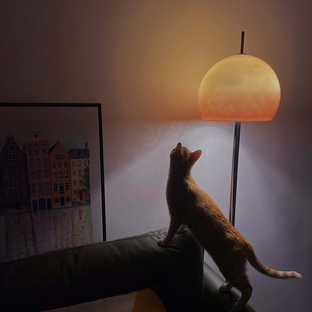 Salgado Sunset Floor Lamp 3 Colors Temperature Switchable Gradient Color