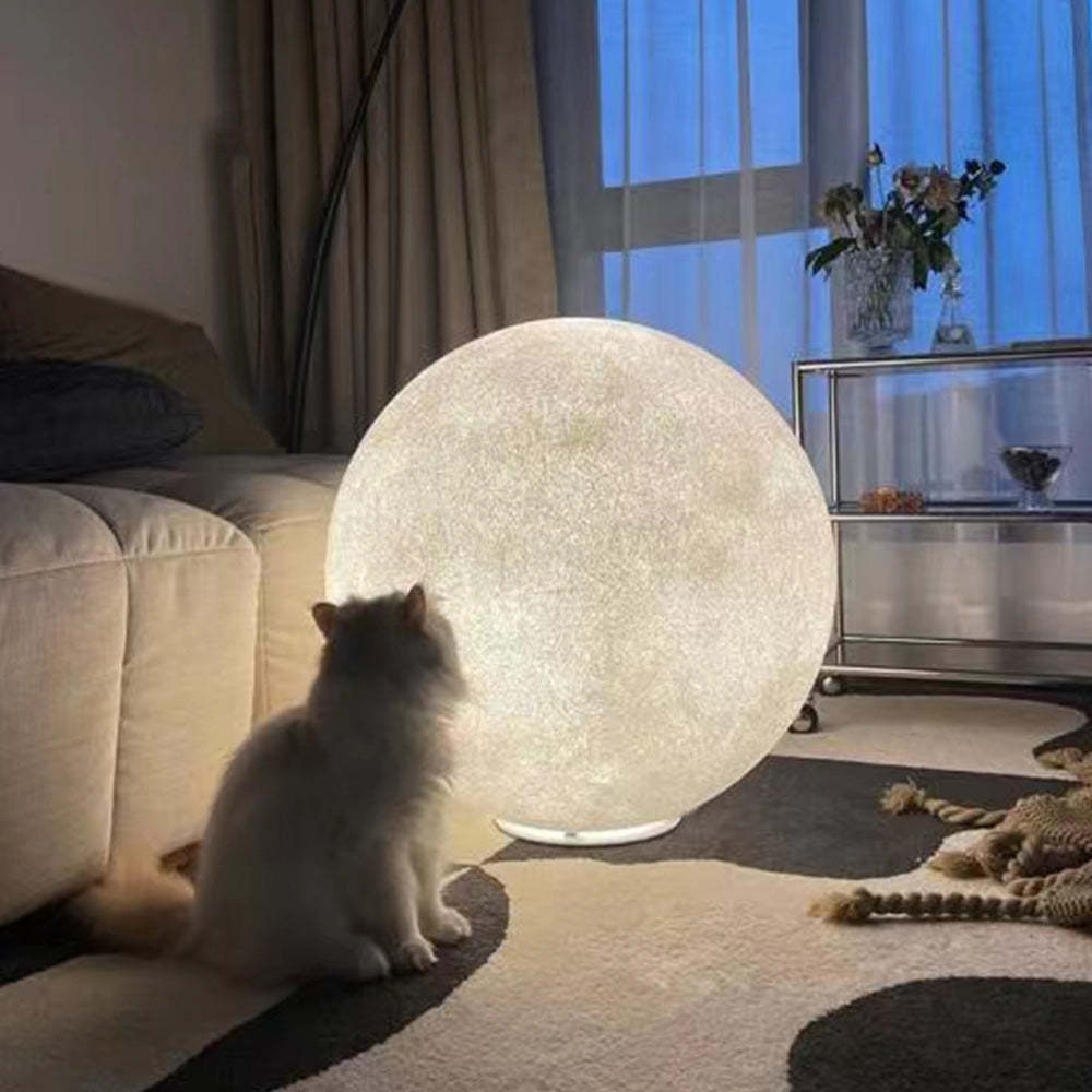 Cat admires Elif Moon Globe Floor Lamp's glow