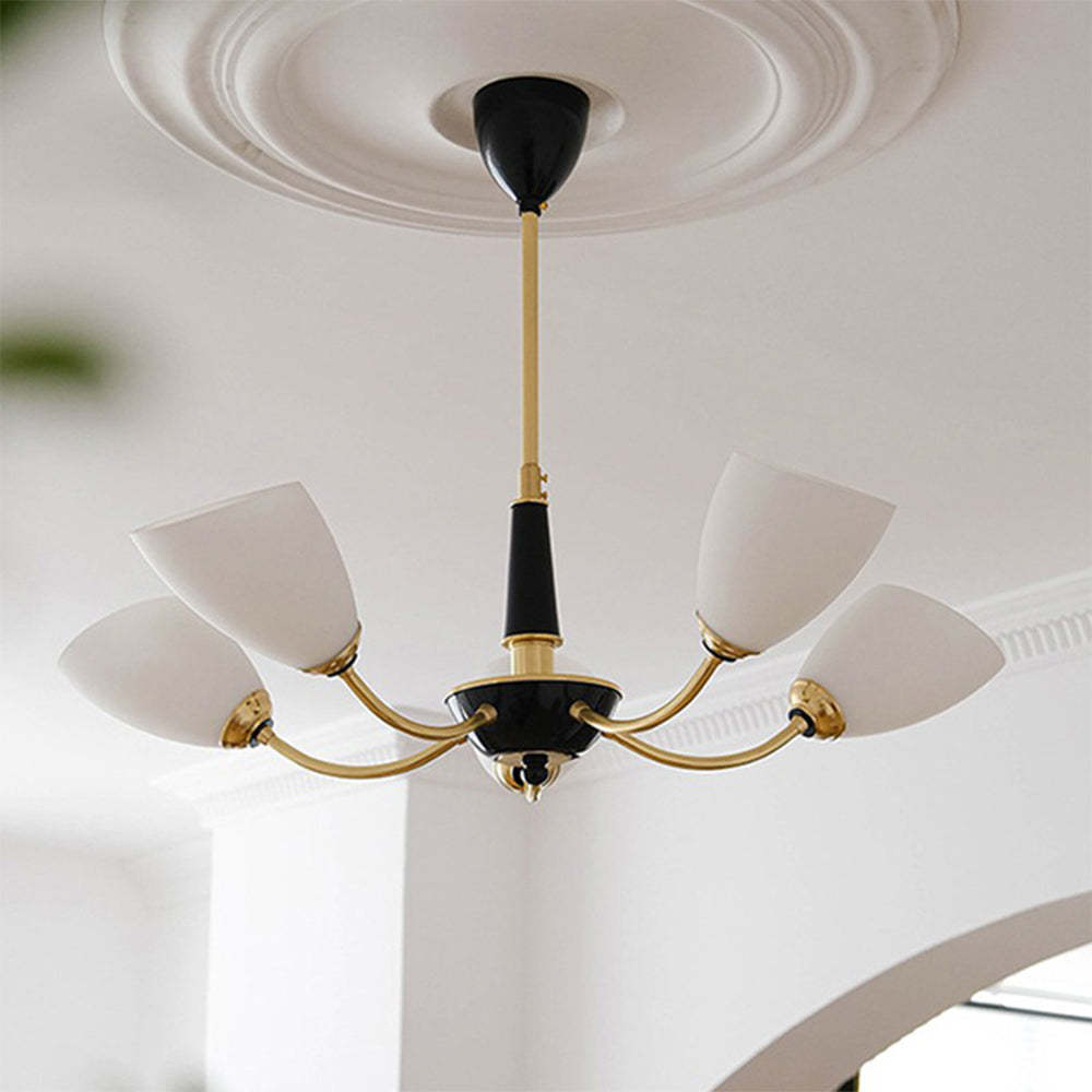 Lily Chandelier - Black and Gold 5-Arm Lighting