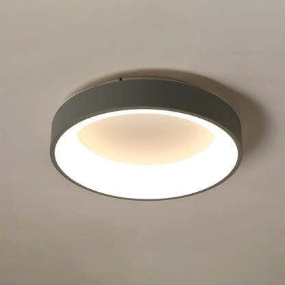 Quinn Modern Flush Mount Ceiling Light, LED Lighting Fixture
