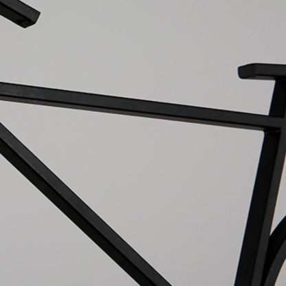 Salgado Bicycle Shape LED Pendant Light - Black
