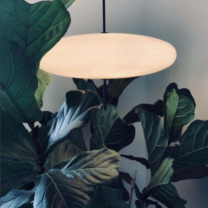 Leilani Nordic Modern Oval Single Pendant Light