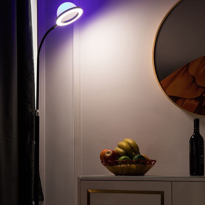 Eryn Globe Floor Lamp with RGB lighting in a living room.
