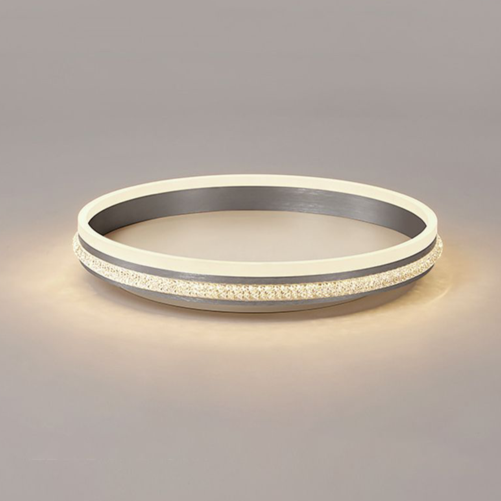 Modern Quinn Ring Ceiling Light - Detailed View