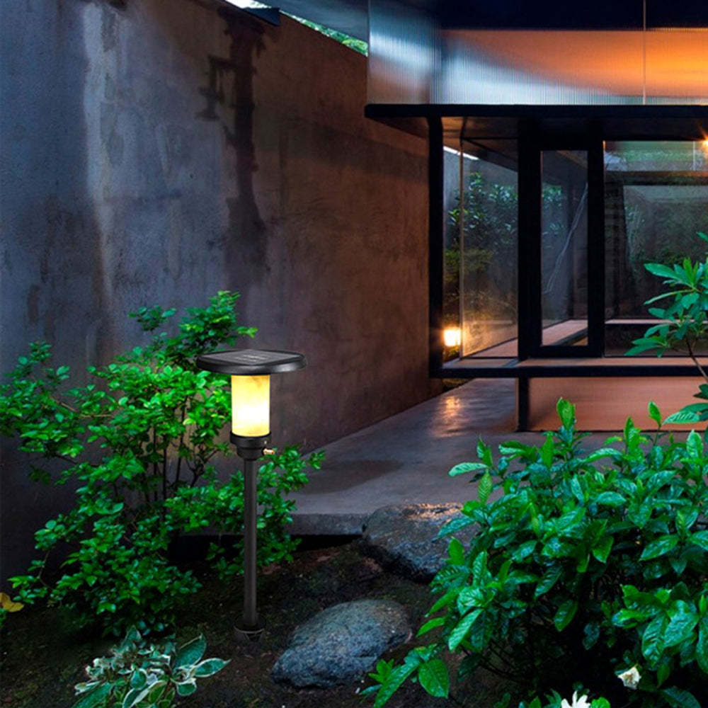 Pena Solar Outdoor Ground Light illuminating a garden
