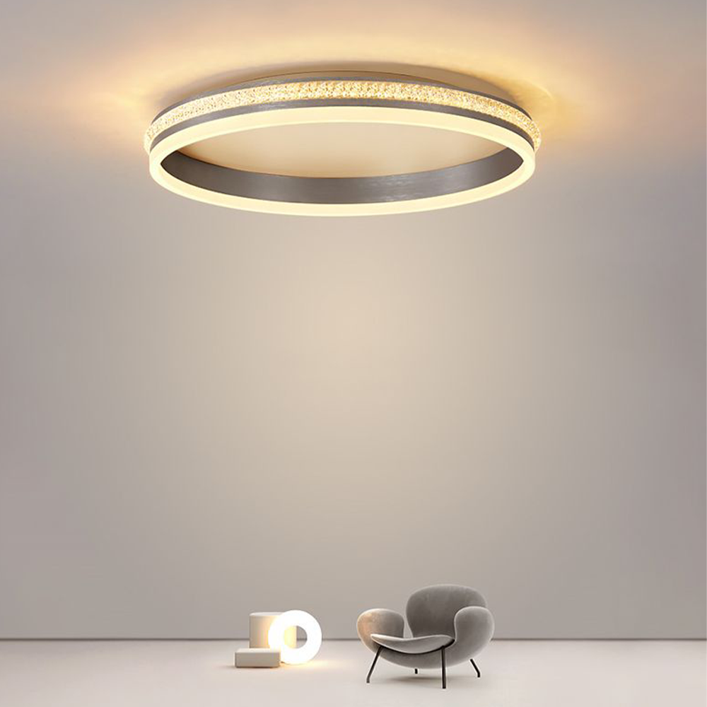 Modern Quinn Ring Ceiling Light in Living Room