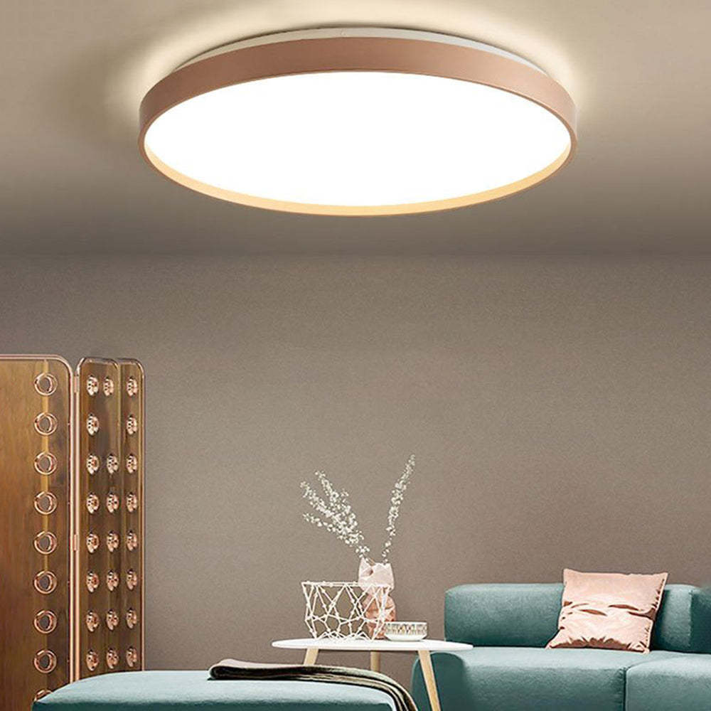 Quinn Round Ceiling Light illuminating a modern living room