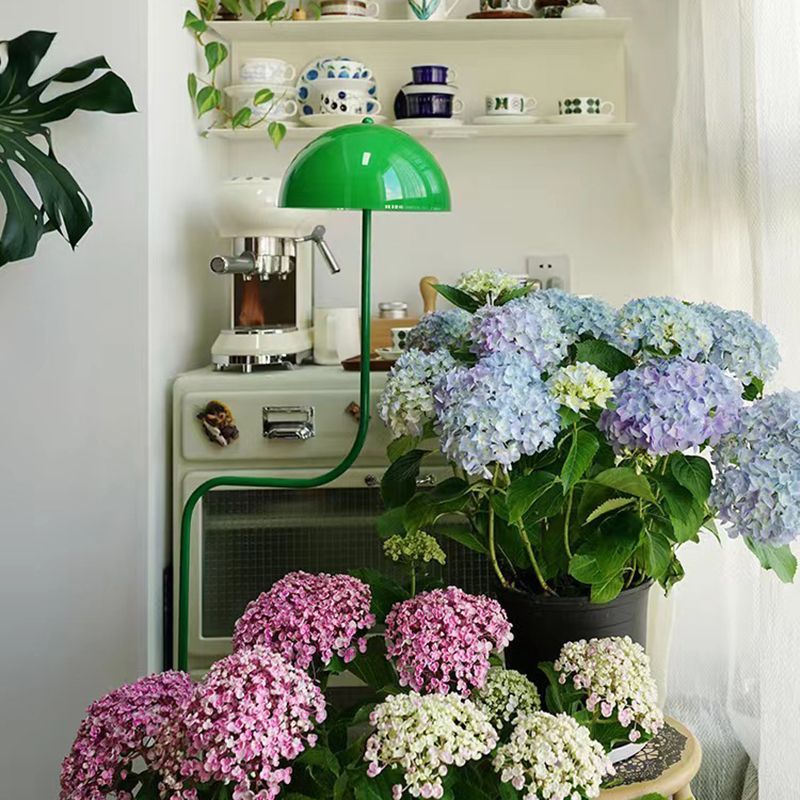 Salgado Floor Lamp in cozy living room with colorful flowers