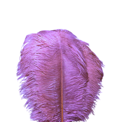 O'Moore Nordic Luxury Unique Ostrich Feather Floor Lamp/Table Lamp