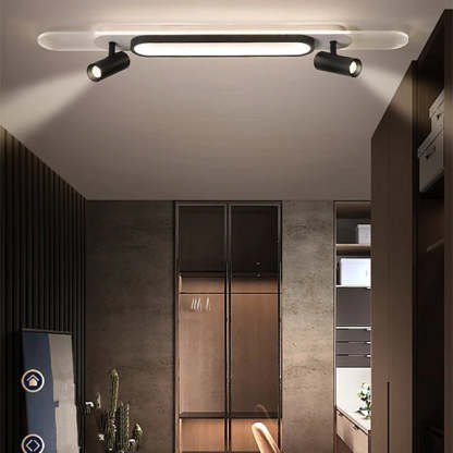 Haney Modern Rectangular LED Metal Acrylic Ceiling Light