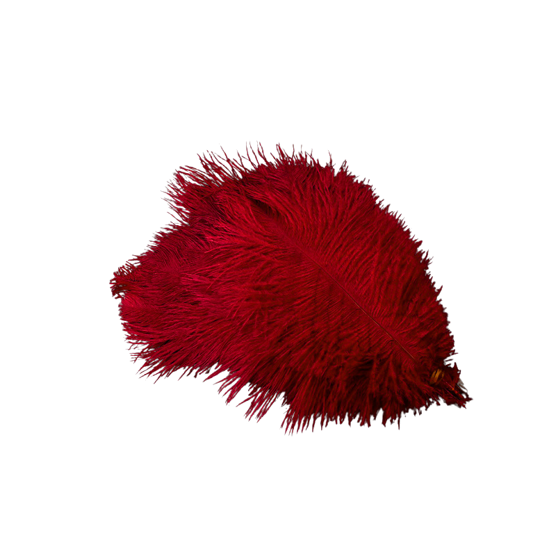 O'Moore Nordic Luxury Unique Ostrich Feather Floor Lamp/Table Lamp