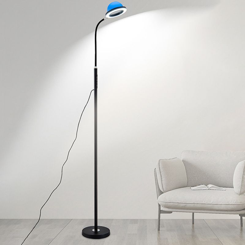 Eryn Globe Floor Lamp with blue accent lighting