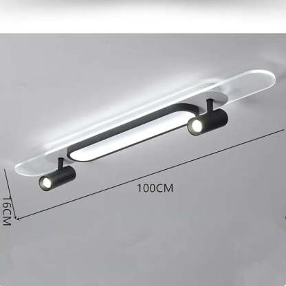 Haney Modern Rectangular LED Metal Acrylic Ceiling Light